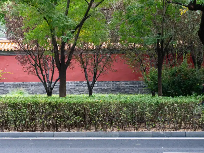 2025年上海影视制作行业技术趋势与创新应用分析