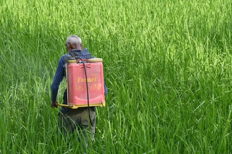 2025年上海影视制作行业趋势：壬煌传媒技术升级与服务优化
